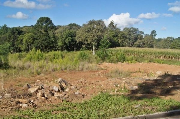 B-26     TERRENO COM 1.200,00 m²
