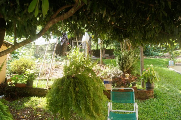 B-208     CASA AMPLA EM TERRENO AMPLO – PICADA CAFÉ
