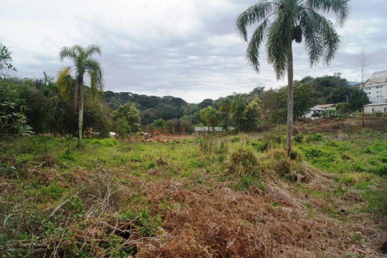 B-507     MAGNÍFICA ÁREA PLANA NA ZONA URBANA DE NOVA PETRÓPOLIS