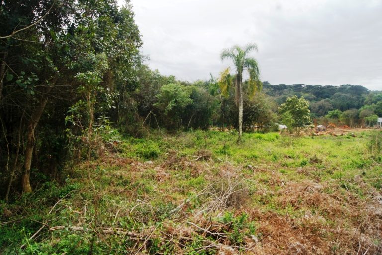 B-507     MAGNÍFICA ÁREA PLANA NA ZONA URBANA DE NOVA PETRÓPOLIS