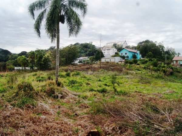B-507     MAGNÍFICA ÁREA PLANA NA ZONA URBANA DE NOVA PETRÓPOLIS