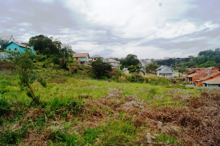 B-507     MAGNÍFICA ÁREA PLANA NA ZONA URBANA DE NOVA PETRÓPOLIS