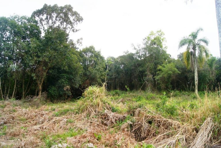 B-507     MAGNÍFICA ÁREA PLANA NA ZONA URBANA DE NOVA PETRÓPOLIS
