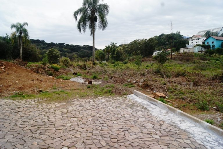 B-507     MAGNÍFICA ÁREA PLANA NA ZONA URBANA DE NOVA PETRÓPOLIS