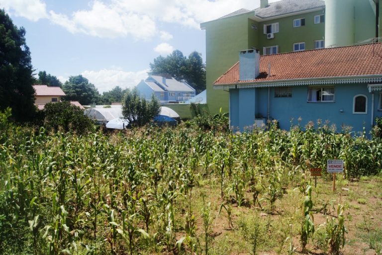 B-08     TERRENO NO CENTRO DE NOVA PETRÓPOLIS