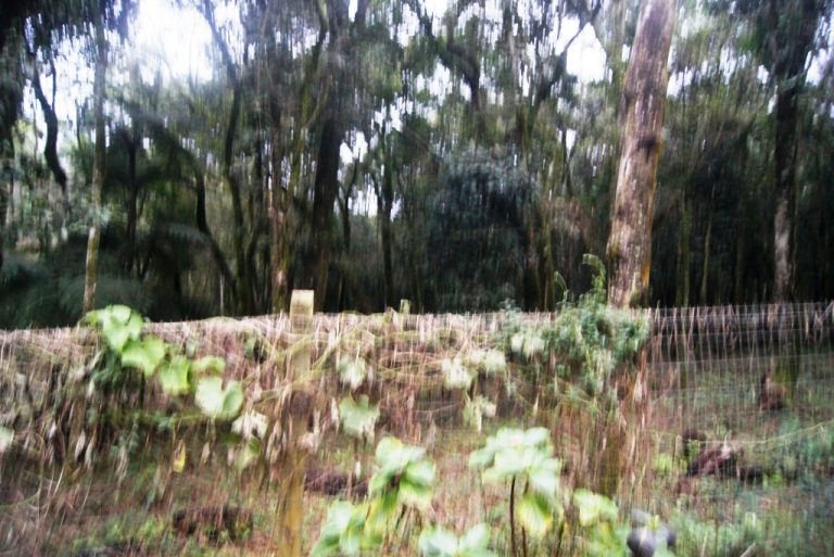 B-414     MARAVILHOSO SÍTIO AO LADO DO PROPERTY (ÁREA URBANA)