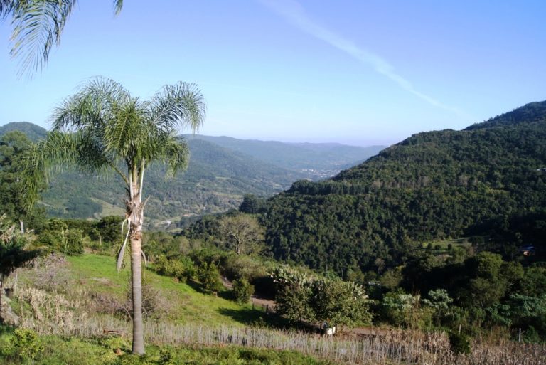 B-415     MARAVILHOSO SÍTIO COM UMA VISÃO PANORÂMICA INDESCRITÍVEL E COM FRENTE PARA A BR 116