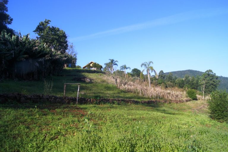 B-415     MARAVILHOSO SÍTIO COM UMA VISÃO PANORÂMICA INDESCRITÍVEL E COM FRENTE PARA A BR 116