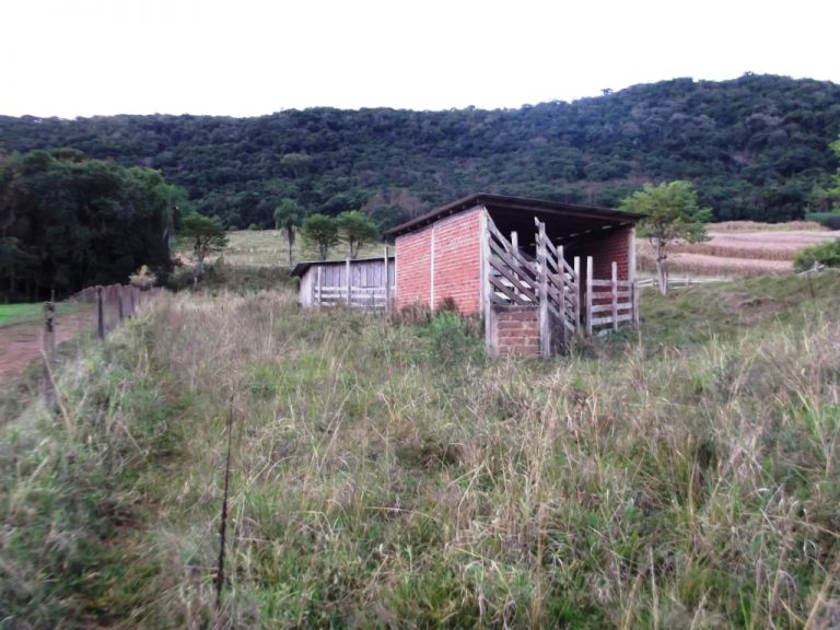 B-410     SÍTIO FANTÁSTICO – COMPLETO