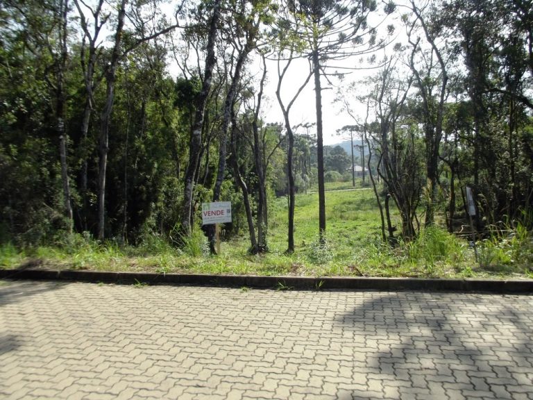 B-16     GRANDE TERRENO AO LADO DA NATUREZA