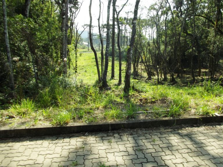 B-16     GRANDE TERRENO AO LADO DA NATUREZA