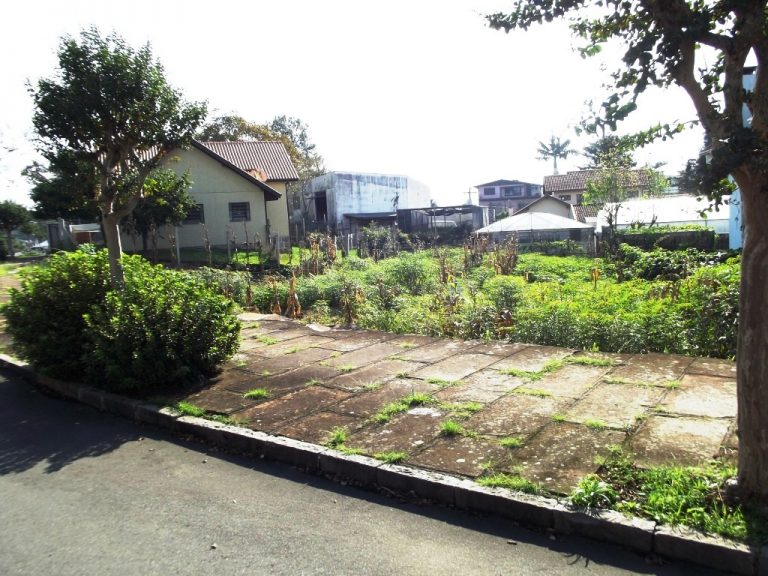 B-08     TERRENO NO CENTRO DE NOVA PETRÓPOLIS