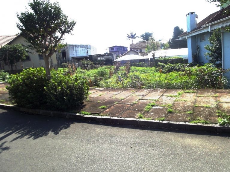 B-08     TERRENO NO CENTRO DE NOVA PETRÓPOLIS