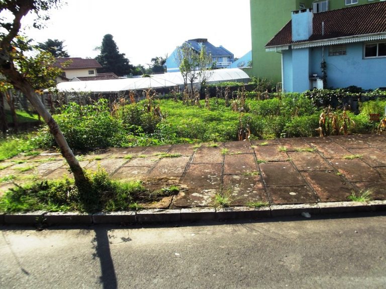 B-08     TERRENO NO CENTRO DE NOVA PETRÓPOLIS