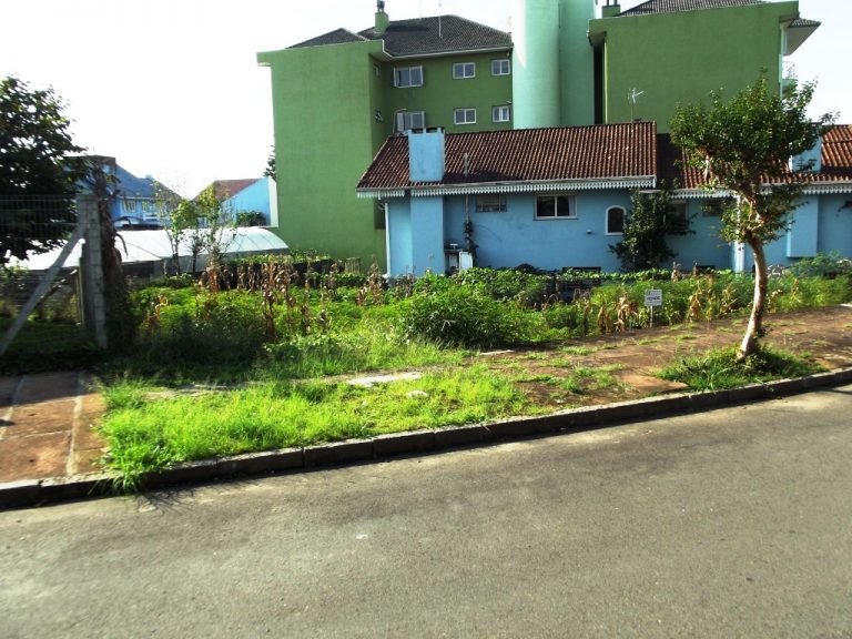B-08     TERRENO NO CENTRO DE NOVA PETRÓPOLIS