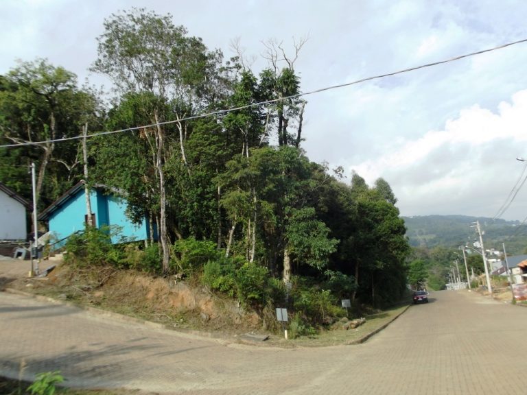 B-09     TERRENO DE ESQUINA