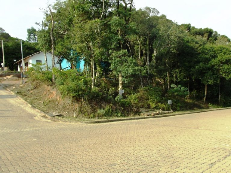 B-09     TERRENO DE ESQUINA