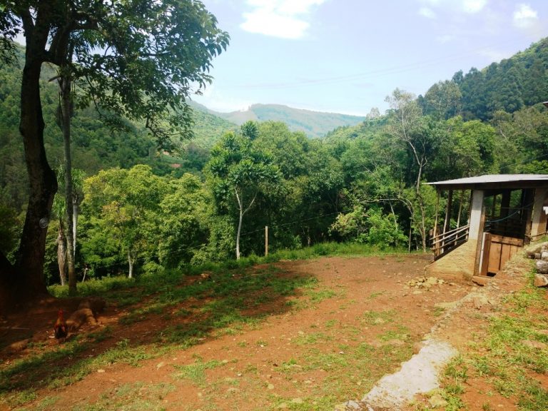 B-416     LINDO SÍTIO NA LOCALIDADE DE TREZE COLÔNIAS