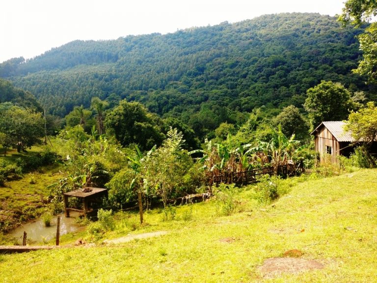 B-416     LINDO SÍTIO NA LOCALIDADE DE TREZE COLÔNIAS