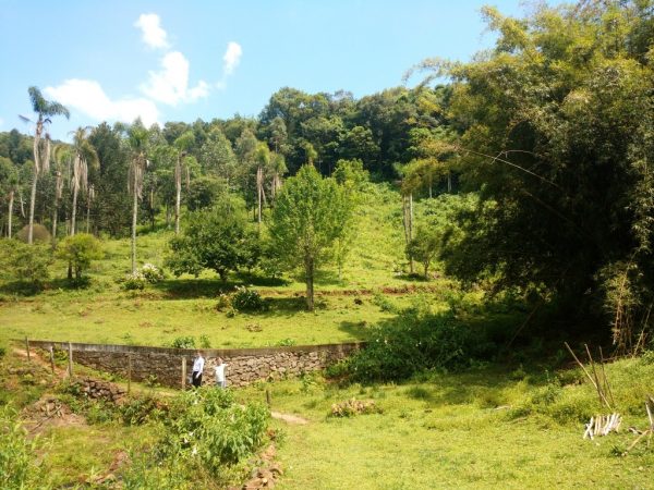 B-416     LINDO SÍTIO NA LOCALIDADE DE TREZE COLÔNIAS
