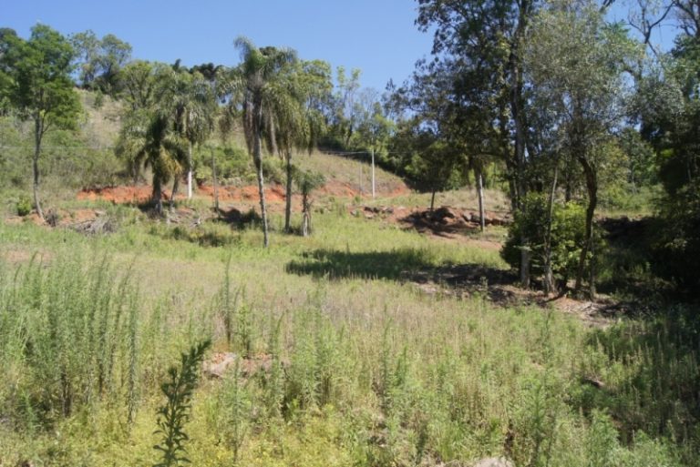 B-65     TERRENO ENORME AO LADO DA BR 116