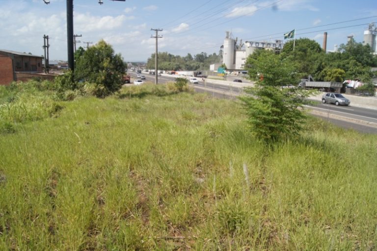B-69     FANTÁSTICO TERRENO COM 324 METROS DE FRENTE PRA BR 116