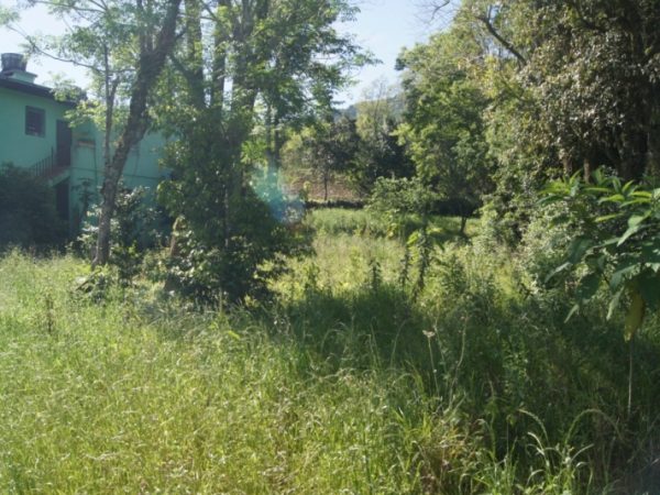 B-61     TERRENO NA CIDADE DE PICADA CAFÉ