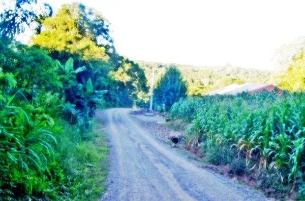 B-51     TERRENO NA VILA GERMÂNIA