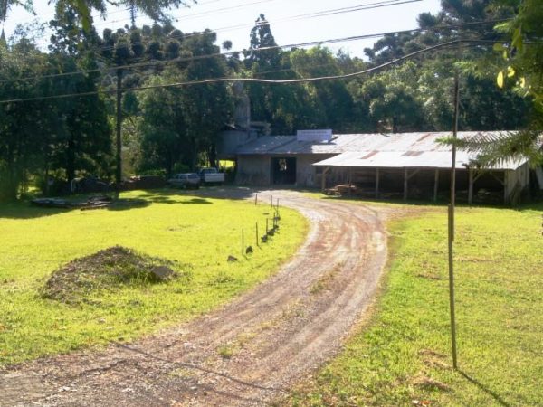 B-54     FANTÁSTICO TERRENO DE 2.250,00 m², com 50 METROS DE FRENTE PARA A RS 235 e com PAVILHÃO DE 299,25 m²