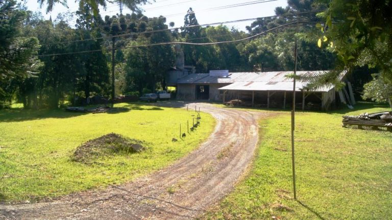 B-1002      FANTÁSTICA ÁREA COM 50 METROS DE FRENTE PARA A RS 235 E COM PAVILHÃO DE 300 M².