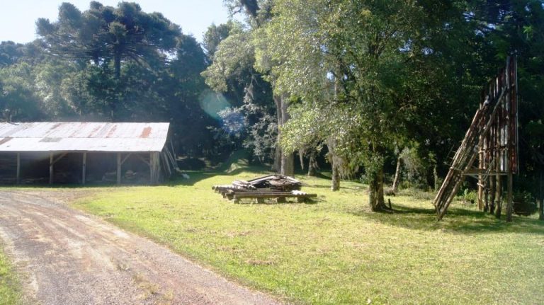 B-1002      FANTÁSTICA ÁREA COM 50 METROS DE FRENTE PARA A RS 235 E COM PAVILHÃO DE 300 M².