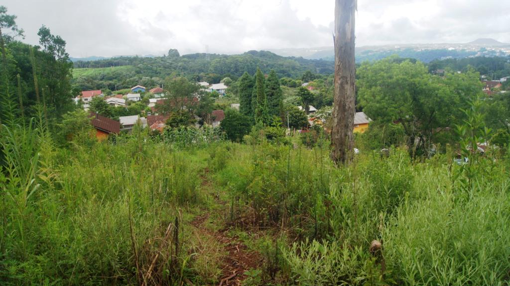 B-43     TERRENO COM 3.382,50 m² – LINDA VISÃO PANORÂMICA