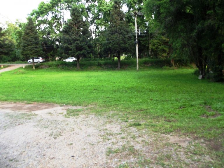 B-54     FANTÁSTICO TERRENO DE 2.250,00 m², com 50 METROS DE FRENTE PARA A RS 235 e com PAVILHÃO DE 299,25 m²