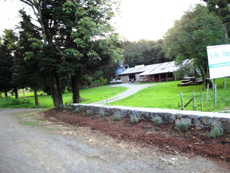 B-1002      FANTÁSTICA ÁREA COM 50 METROS DE FRENTE PARA A RS 235 E COM PAVILHÃO DE 300 M².