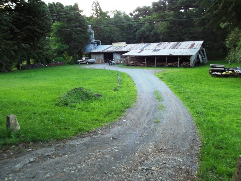 B-54     FANTÁSTICO TERRENO DE 2.250,00 m², com 50 METROS DE FRENTE PARA A RS 235 e com PAVILHÃO DE 299,25 m²