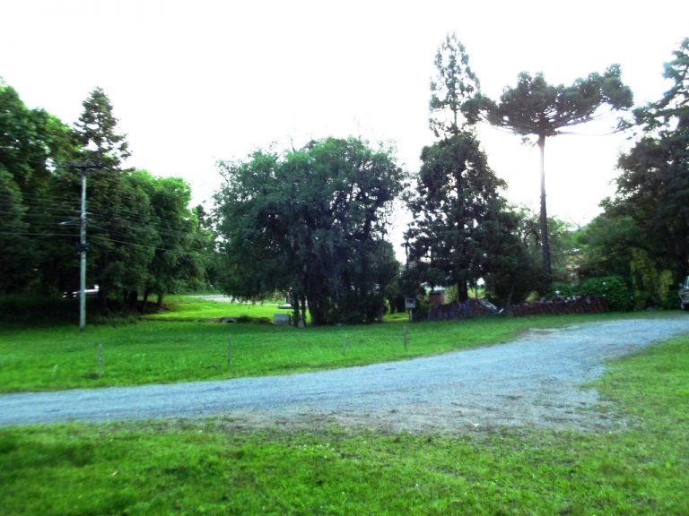 B-54     FANTÁSTICO TERRENO DE 2.250,00 m², com 50 METROS DE FRENTE PARA A RS 235 e com PAVILHÃO DE 299,25 m²