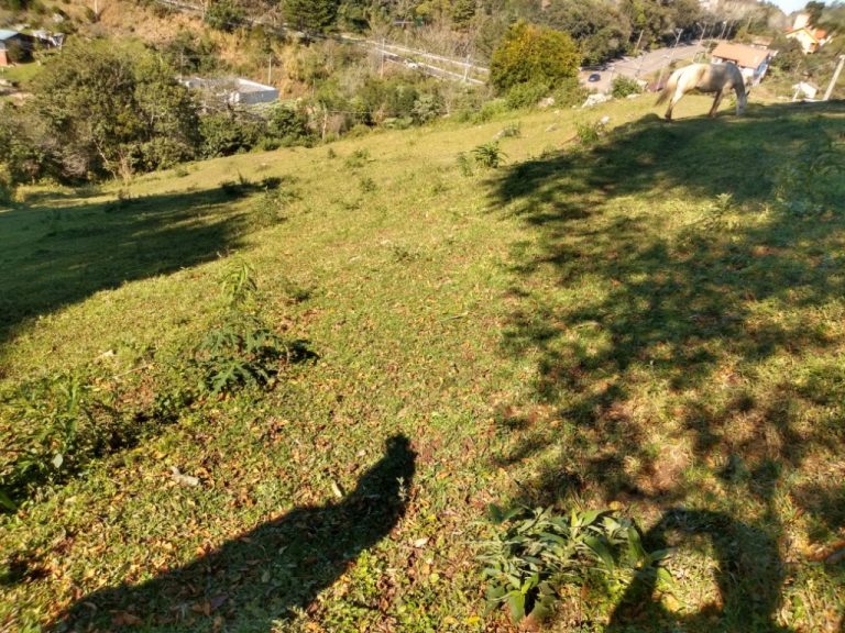 B-67      TERRENO COM EXUBERANTE VISTA PANORÂMICA