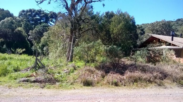 B-50     TERRENO EM CAXIAS DO SUL