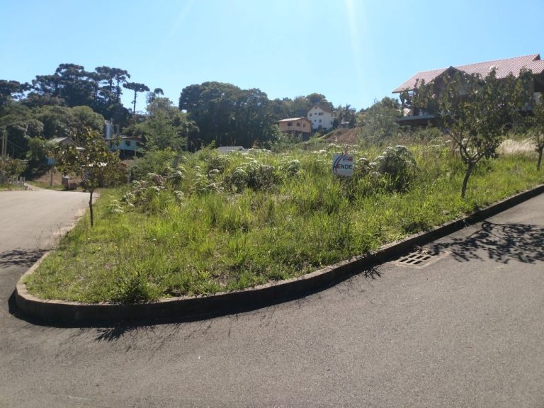 B-42     EXCELENTE TERRENO DE ESQUINA