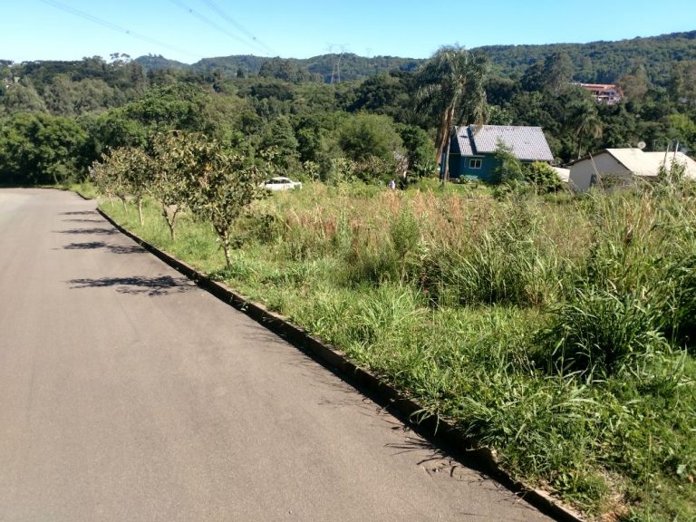 B-42     EXCELENTE TERRENO DE ESQUINA