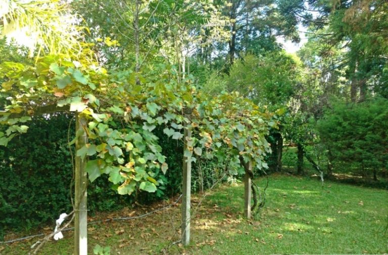 B-282     LINDA CASA COM 500,00 m² de ÁREA CONSTRUÍDA