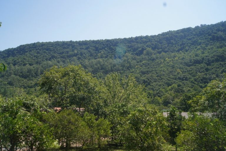 B-79     TERRENO NA VILA CRISTINA