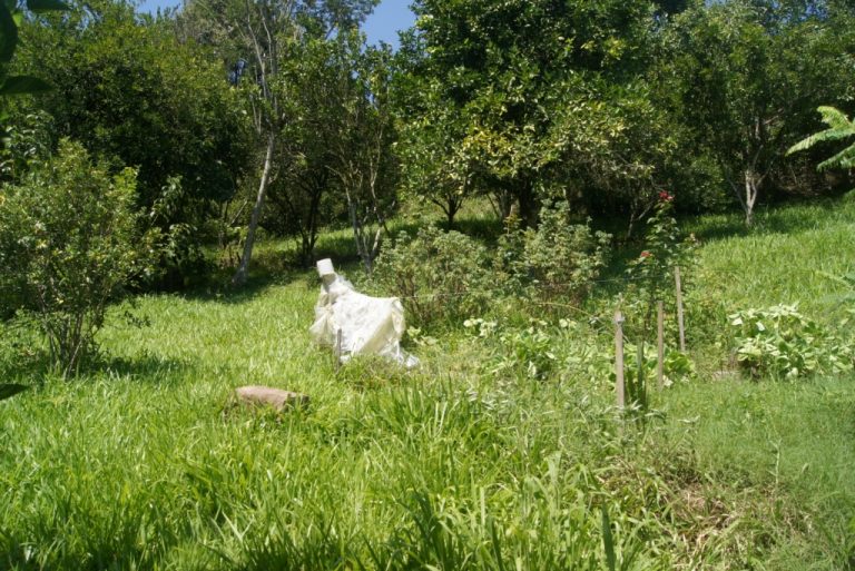 B-79     TERRENO NA VILA CRISTINA