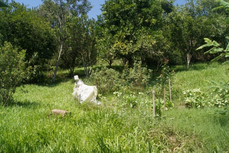 B-79     TERRENO NA VILA CRISTINA