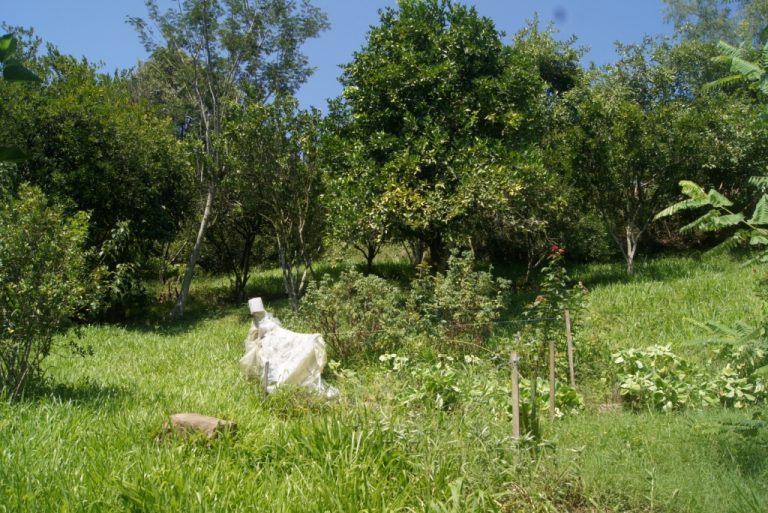 B-79     TERRENO NA VILA CRISTINA