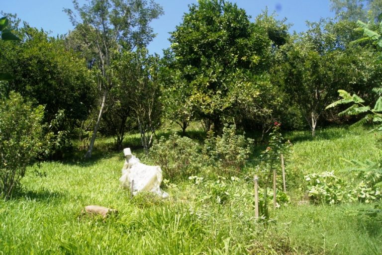 B-79     TERRENO NA VILA CRISTINA