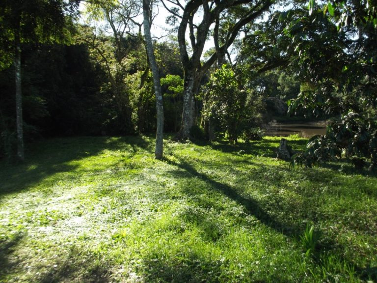 B-523     LINDA ÁREA DE TERRAS COMPLETAMENTE PLANA
