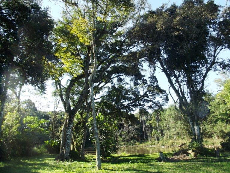 B-523     LINDA ÁREA DE TERRAS COMPLETAMENTE PLANA