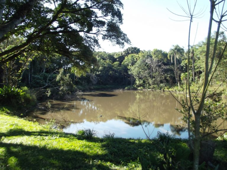 B-523     LINDA ÁREA DE TERRAS COMPLETAMENTE PLANA