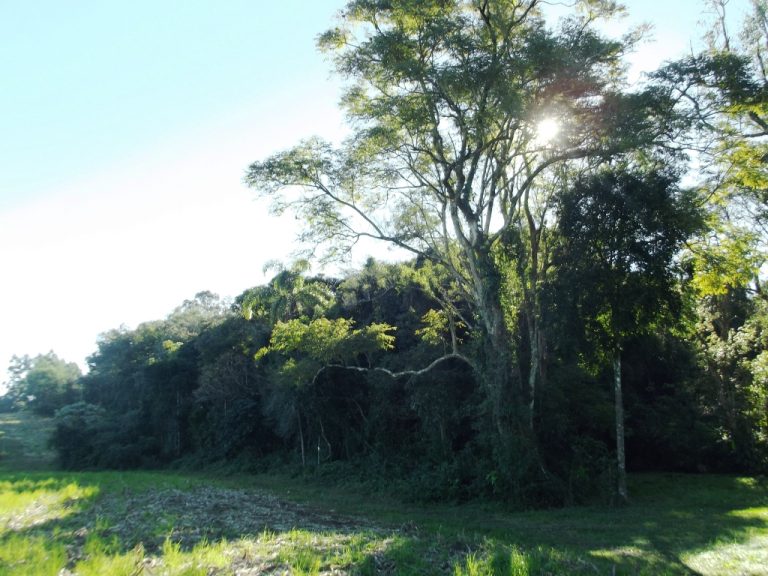 B-523     LINDA ÁREA DE TERRAS COMPLETAMENTE PLANA